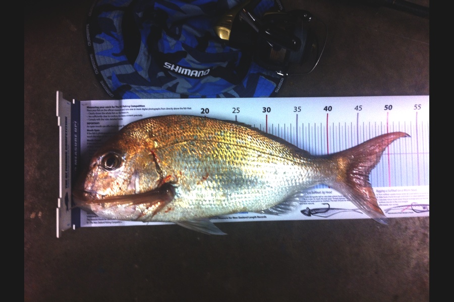 Patsy McIver caught this 46.5cm Snapper at Rakino during The Export NZ Fishing Competition