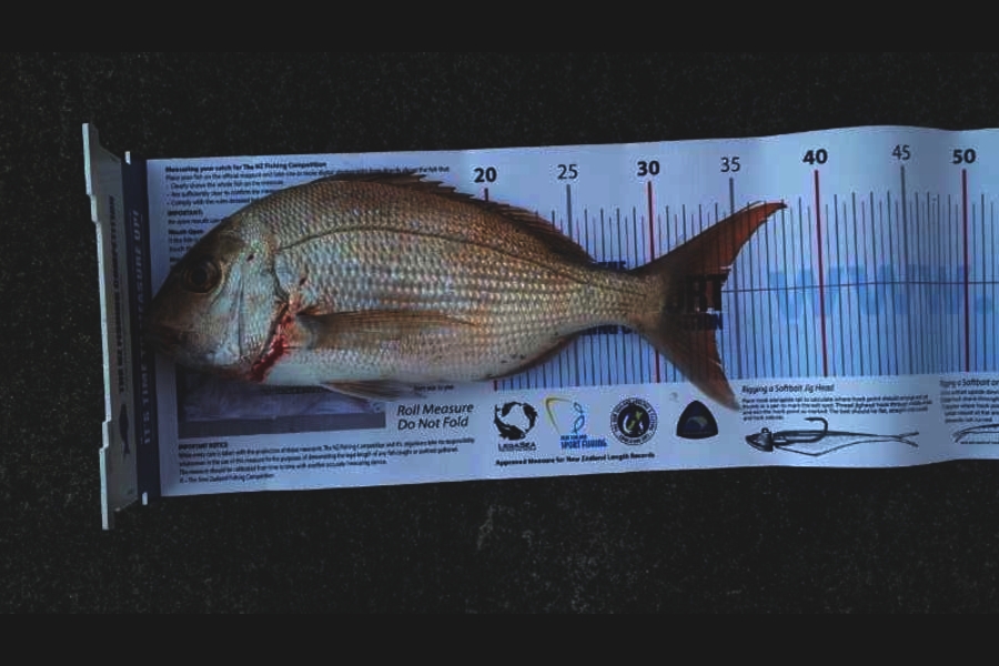 Peter Wakeling caught this 33.5cm Snapper at Whangamata during The Export NZ Fishing Competition
