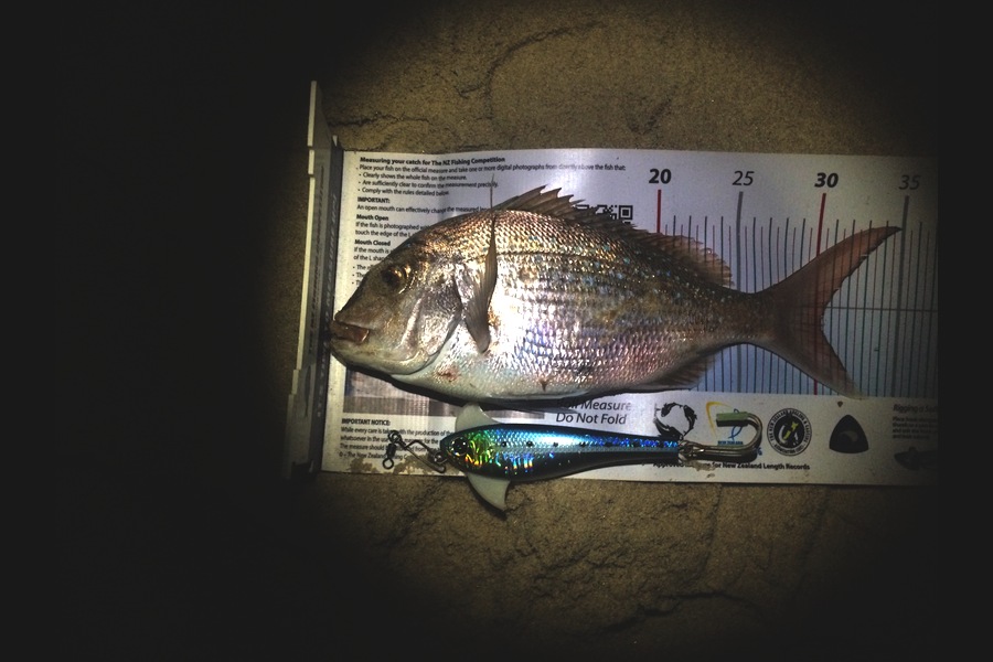 Mark van Diepen caught this 30.0cm Snapper at Otama during The Export NZ Fishing Competition