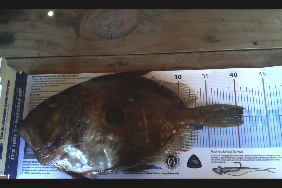 Nicholas Peacock caught this 40.5cm John Dory at wanganui during The Export NZ Fishing Competition