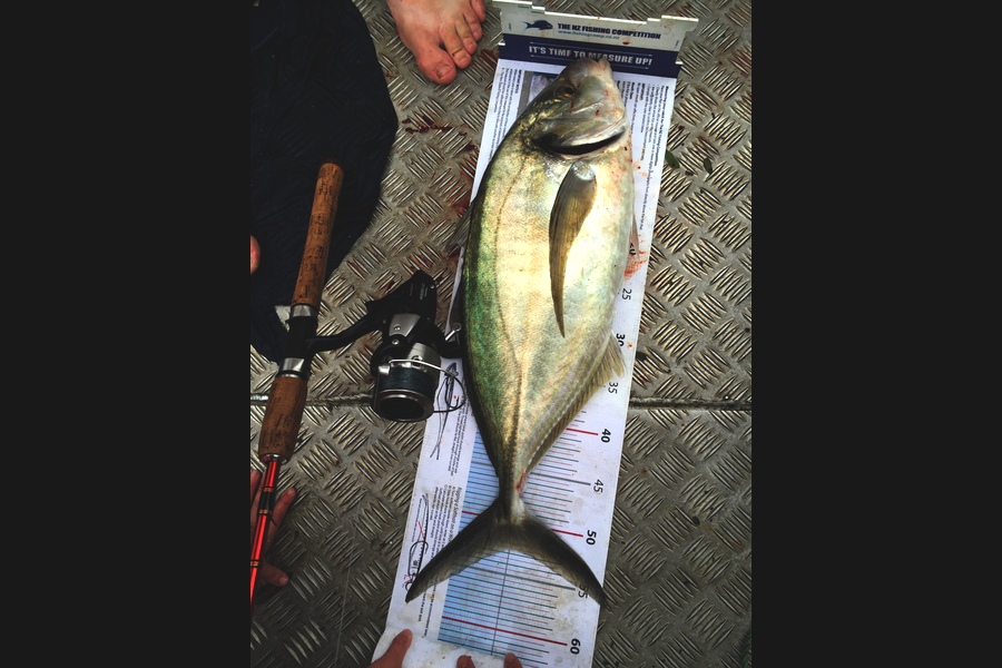Sarah Hawkes caught this 52.5cm Trevally at Whanagrei during The Export NZ Fishing Competition