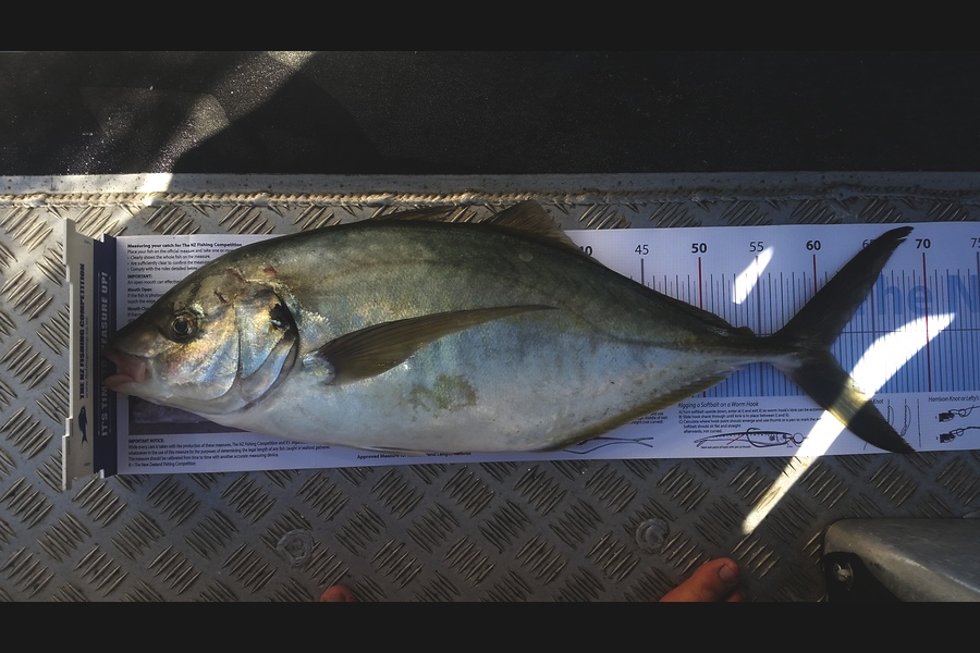 Brooke Summerville caught this 60.5cm Trevally at Cape Karikari  during The Export NZ Fishing Competition