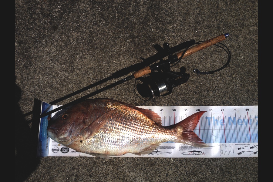 Anthony Murray caught this 57.5cm Snapper at Welly West during The Export NZ Fishing Competition