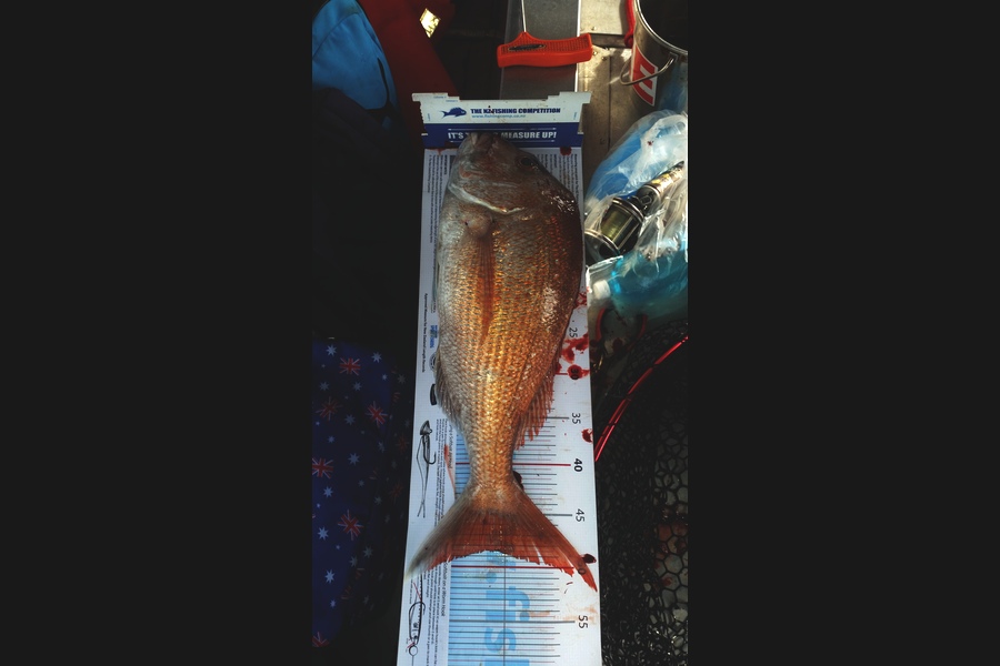 Brett Smith caught this 48.5cm Snapper at Hauraki Gulf during The Export NZ Fishing Competition