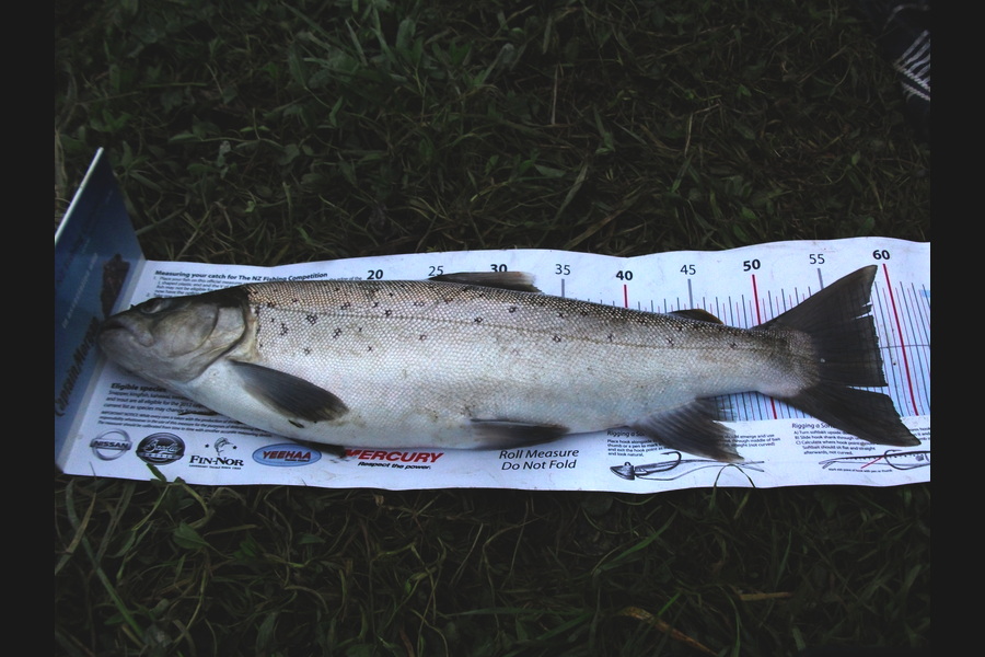 Johnny Huynen caught this 58cm Trout at Wairarapa during The Export NZ Fishing Competition
