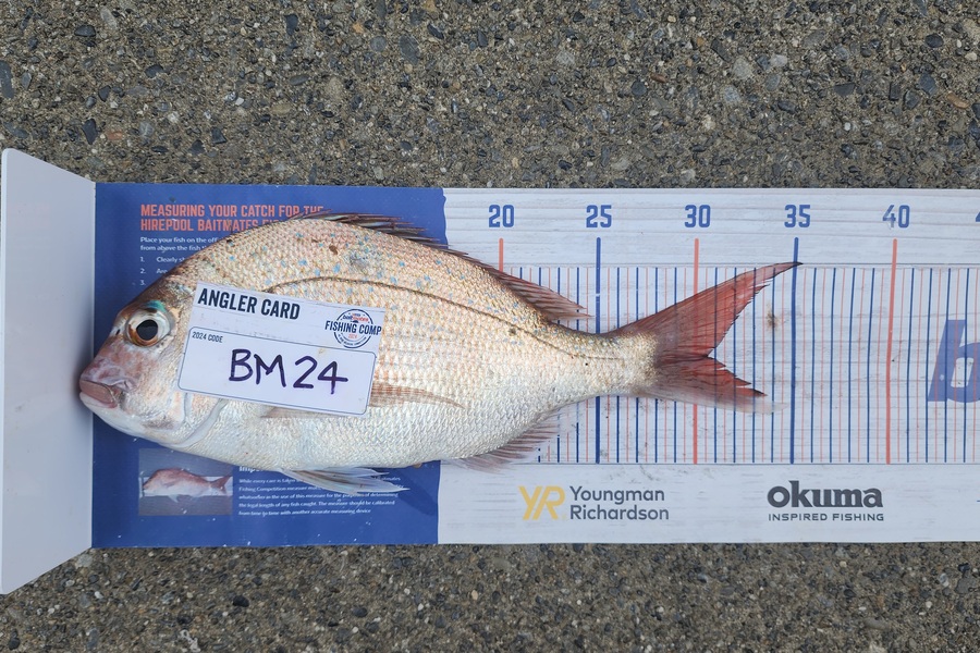 Carolyn Carson caught this 30.5cm Snapper at Wellington during The Export NZ Fishing Competition