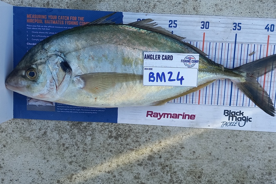 Cameron Rosson caught this 38.5cm Trevally at Wellington during The Export NZ Fishing Competition