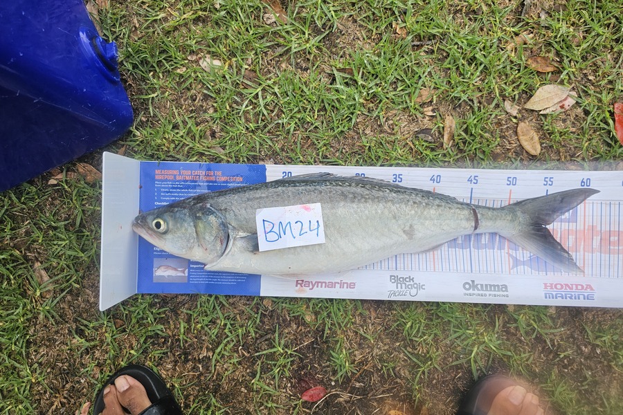 Taniora Kani rawiri caught this 54cm Kahawai at Northland during The Export NZ Fishing Competition