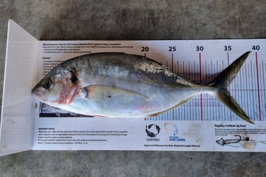 Bruce Hooper caught this 34cm Trevally at Northland during The Export NZ Fishing Competition