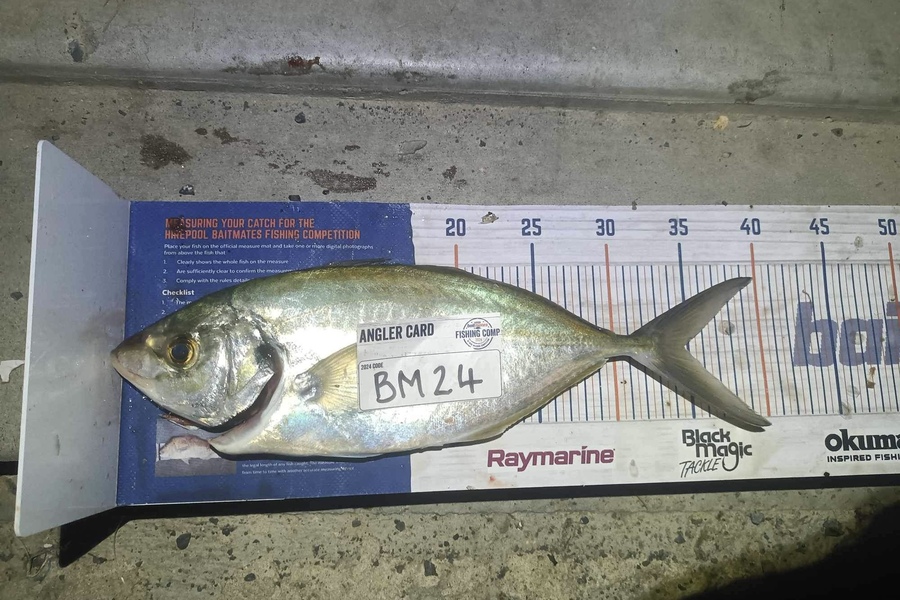 Ryan Hardie caught this 34cm Trevally at Northland during The Export NZ Fishing Competition