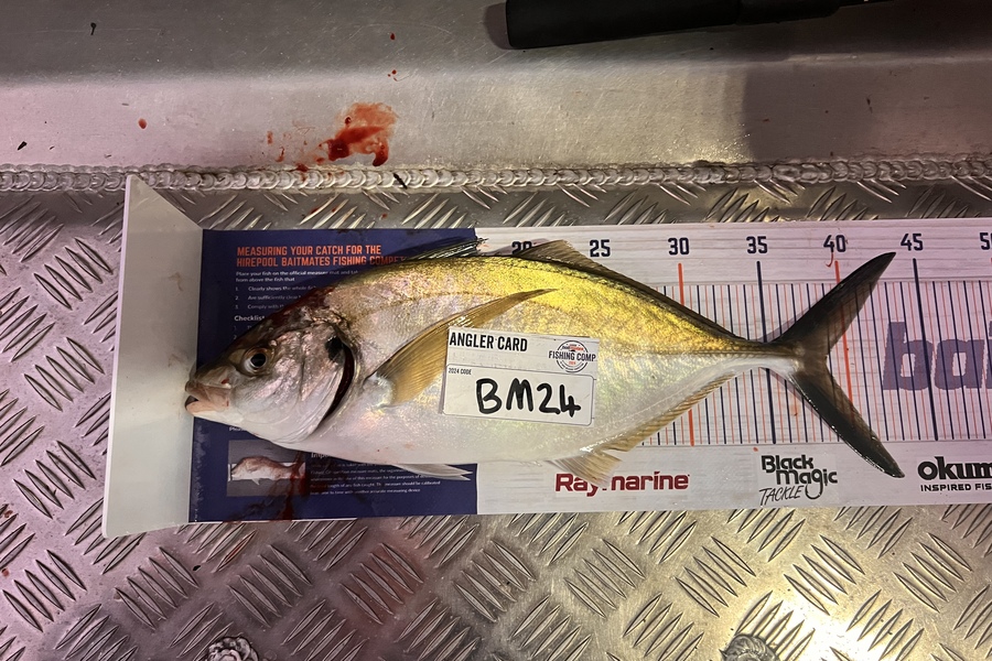 Isaac Dudson caught this 38.5cm Trevally at Bay of Plenty during The Export NZ Fishing Competition