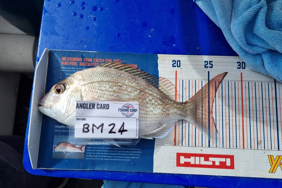 Ayla Gillespie caught this 25.5cm Snapper at Nelson/Marlborough during The Export NZ Fishing Competition