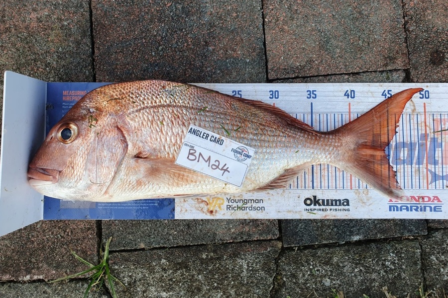 Ryder Huskisson-Morris caught this 44.0cm Snapper at Auckland during The Export NZ Fishing Competition