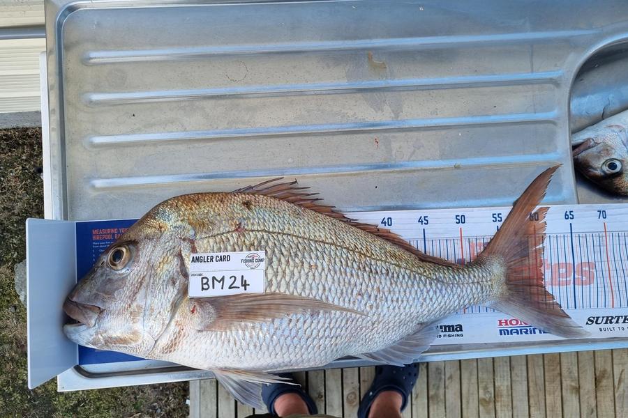 Johan Van Den Berg caught this 60.5cm Snapper at Northland during The Export NZ Fishing Competition