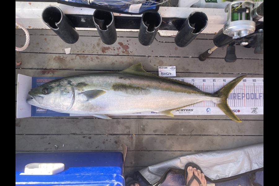 Hunter Russell caught this 91.5cm Kingfish at Northland during The Export NZ Fishing Competition