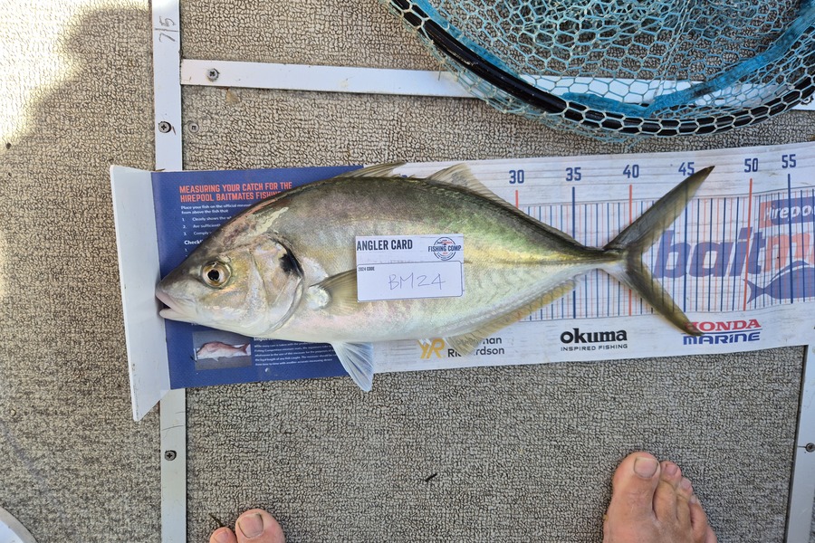 Glynn Anderson caught this 41.0cm Trevally at Auckland during The Export NZ Fishing Competition