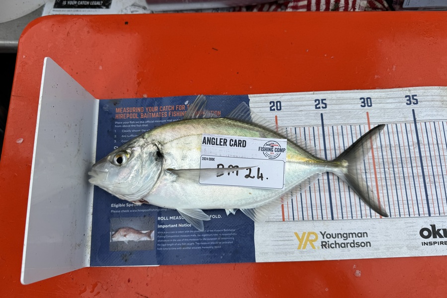 Nadine Smith caught this 28.5cm Trevally at Auckland during The Export NZ Fishing Competition