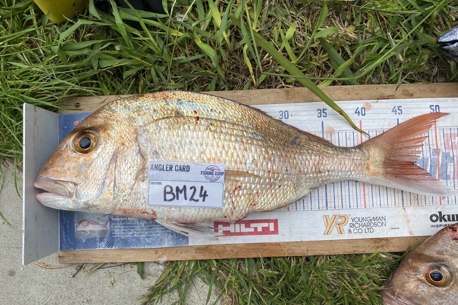 Mark Ray caught this 46.5cm Snapper at Bay of Plenty during The Export NZ Fishing Competition
