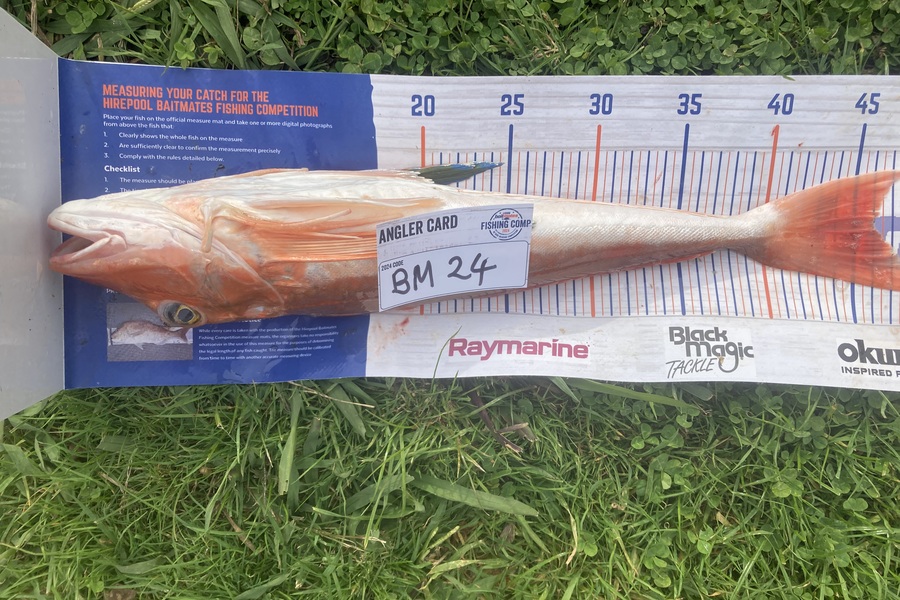 David Monagan caught this 46.0cm Gurnard at Hawkes Bay during The Export NZ Fishing Competition
