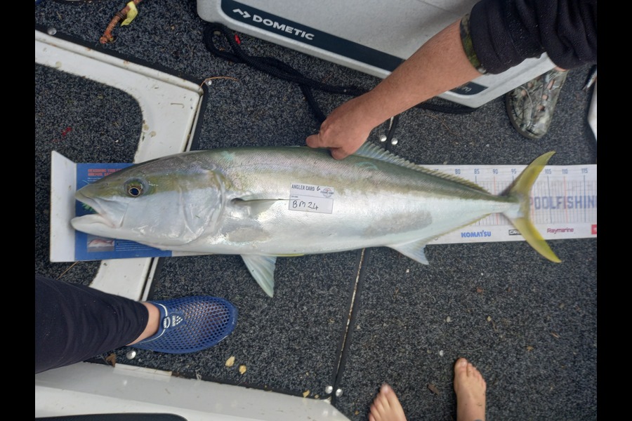 George Karl caught this 97.0cm Kingfish at Waikato during The Export NZ Fishing Competition