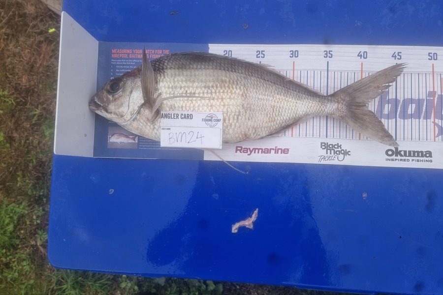 Bradley Weatherley caught this 40.5cm Tarakihi at Bay of Plenty during The Export NZ Fishing Competition