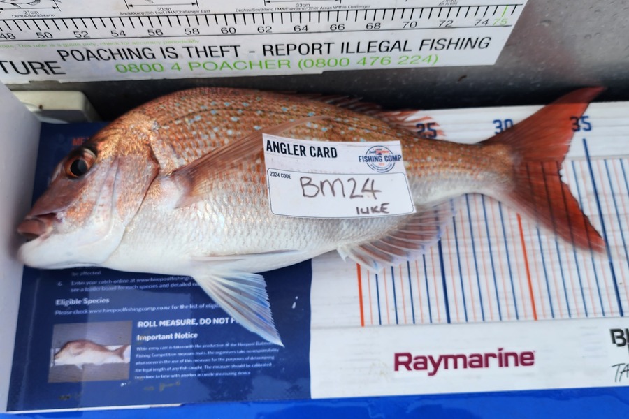 luke Curtis caught this 32cm Snapper at Coromandel during The Export NZ Fishing Competition