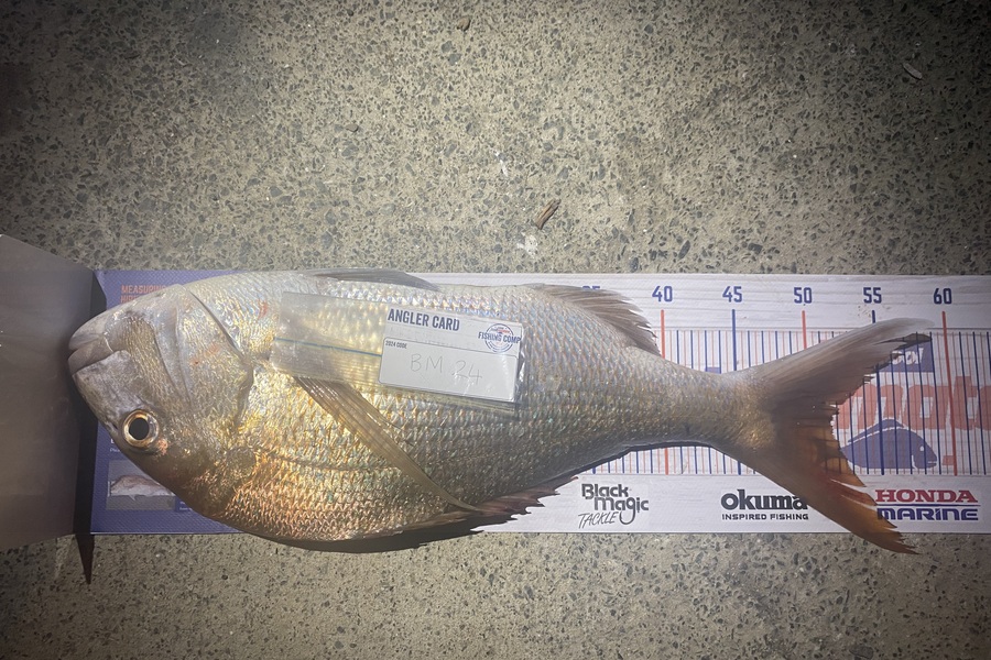 Raewyn Flay caught this 51.5cm Snapper at Northland during The Export NZ Fishing Competition