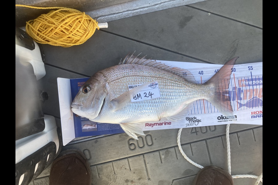 David Monagan caught this 47.5cm Snapper at Hawkes Bay during The Export NZ Fishing Competition
