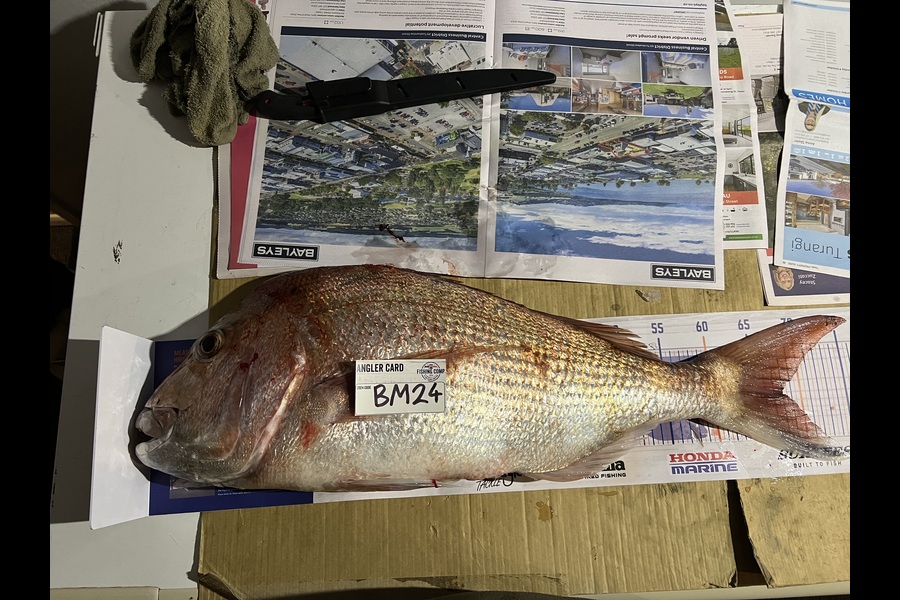 Sam Hart caught this 68.0cm Snapper at Bay of Plenty during The Export NZ Fishing Competition