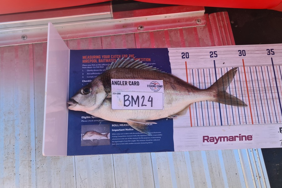 Christopher Gonzales caught this 26.0cm Tarakihi at Wellington during The Export NZ Fishing Competition