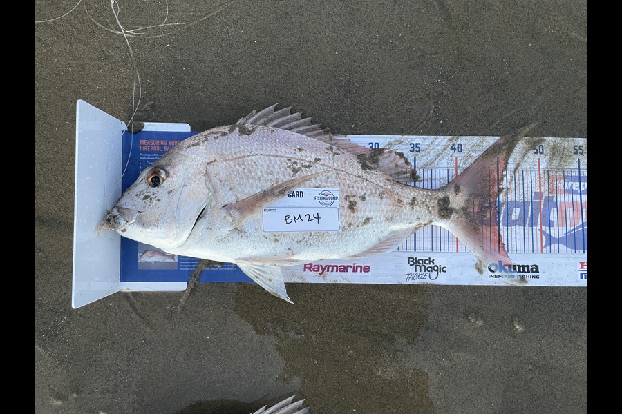 Angel Emtage caught this 44.5cm Snapper at Northland during The Export NZ Fishing Competition