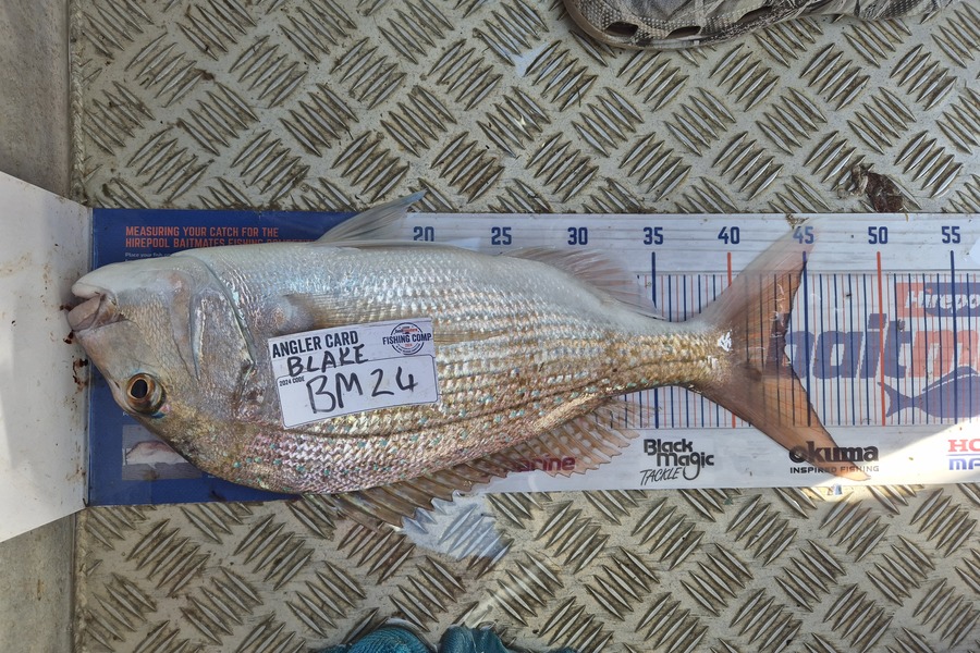 Blake Pemberton caught this 43.5cm Snapper at Coromandel during The Export NZ Fishing Competition