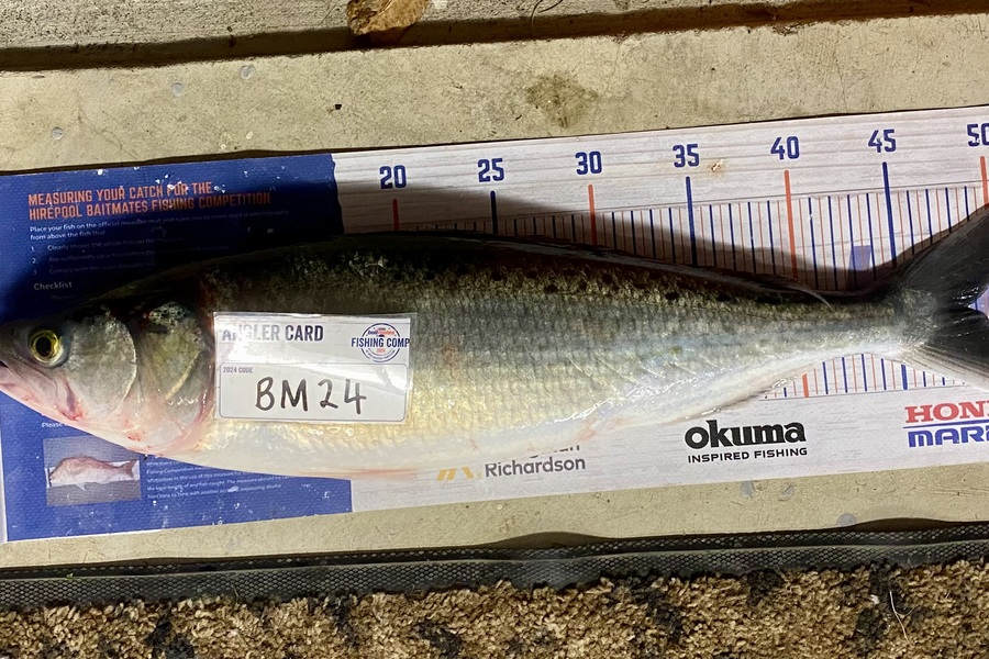 Gary Allan caught this 48.5cm Kahawai at Wairarapa
 during The Export NZ Fishing Competition