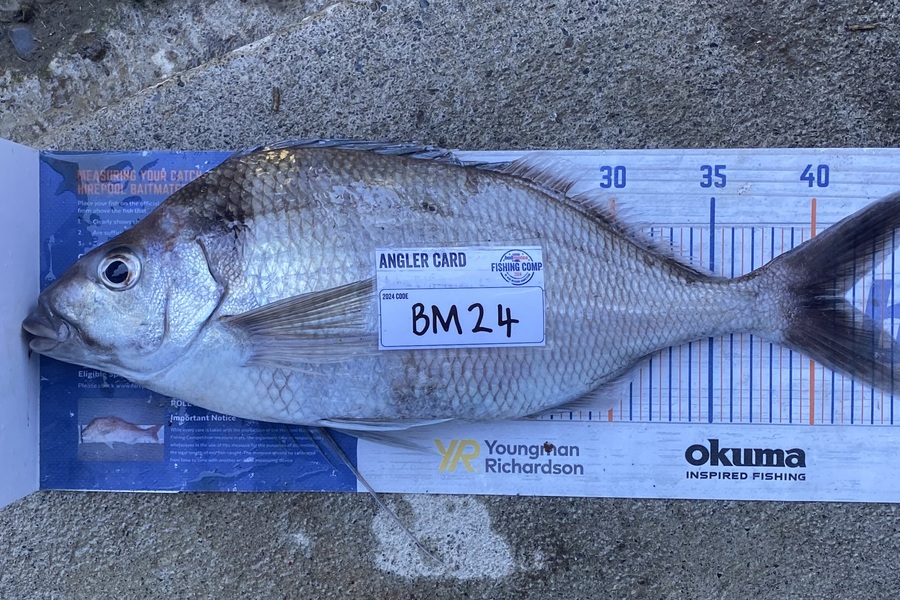Braxton Allan caught this 41.5cm Tarakihi at Wairarapa
 during The Export NZ Fishing Competition