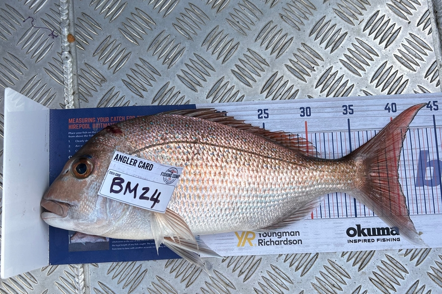 Jack  Runciman  caught this 40.0cm Snapper at Northland during The Export NZ Fishing Competition