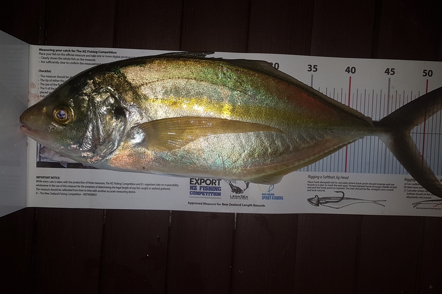 Paul  Alexander caught this 48.0cm Trevally at Northland during The Export NZ Fishing Competition