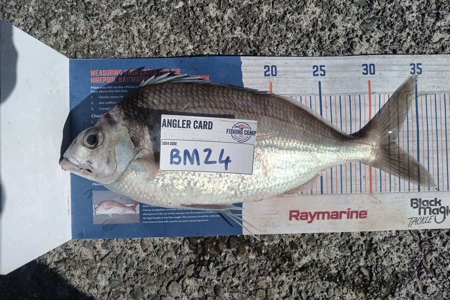 Cooper Rosson caught this 32.5cm Tarakihi at Wellington during The Export NZ Fishing Competition