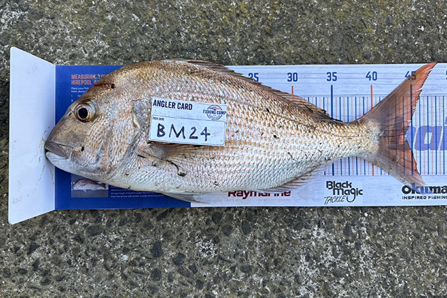 Naomi Kuka caught this 44.0cm Snapper at Auckland during The Export NZ Fishing Competition