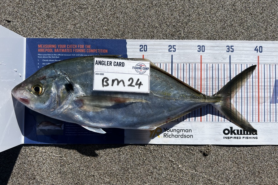 Shannon Millar caught this 35.0cm Trevally at Bay of Plenty during The Export NZ Fishing Competition