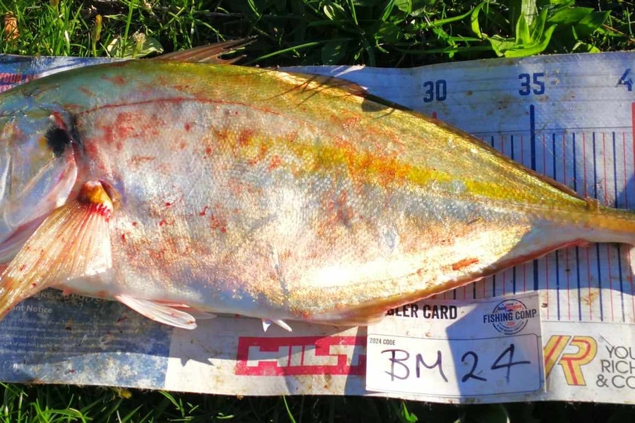 Jamie-Lee Page caught this 44.0cm Trevally at Wellington during The Export NZ Fishing Competition