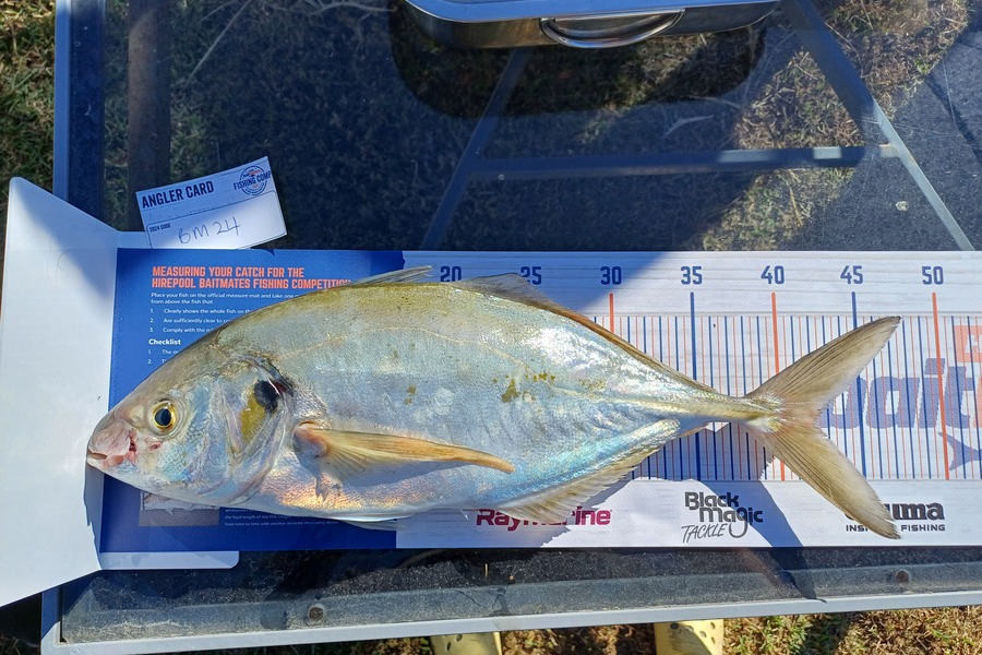 Kelsie Draper caught this 42.0cm Trevally at Hawkes Bay during The Export NZ Fishing Competition