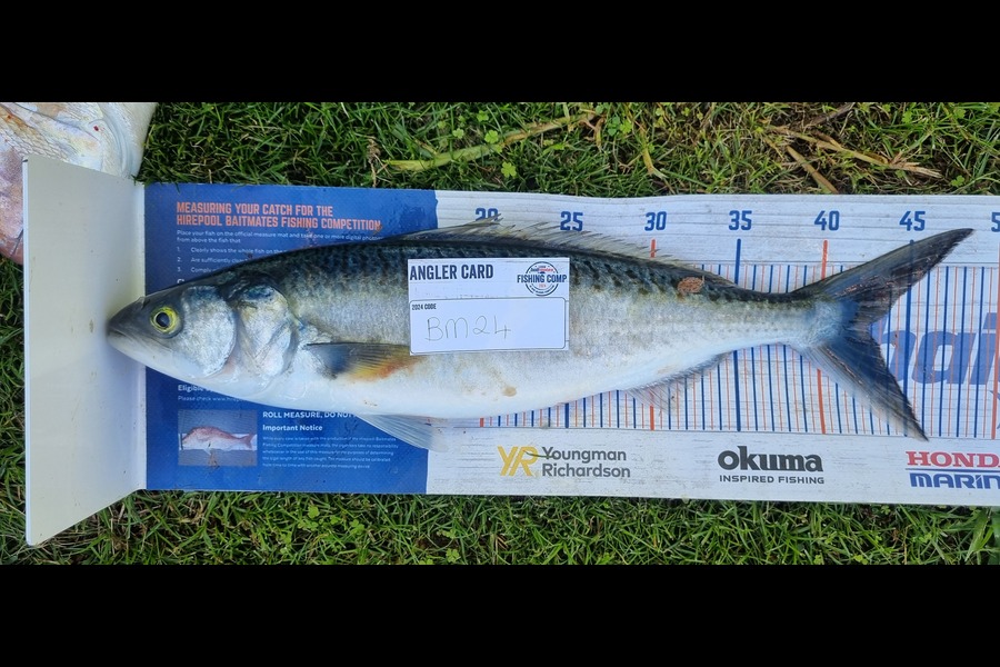 Karlene Kaio caught this 42.5cm Kahawai at Bay of Plenty during The Export NZ Fishing Competition
