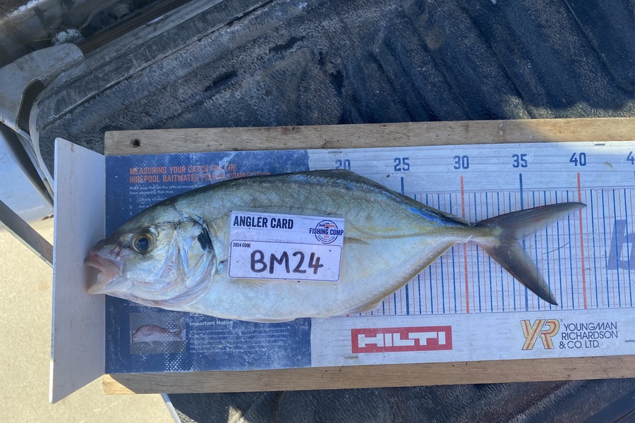 Mark Ray caught this 34.0cm Trevally at Bay of Plenty during The Export NZ Fishing Competition