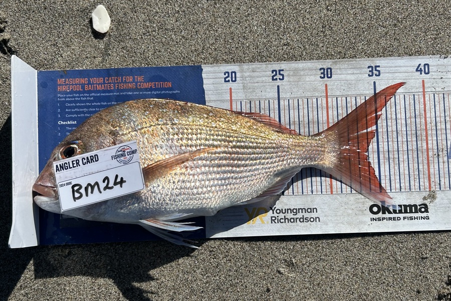 Max Brookbanks caught this 34.0cm Snapper at Bay of Plenty during The Export NZ Fishing Competition