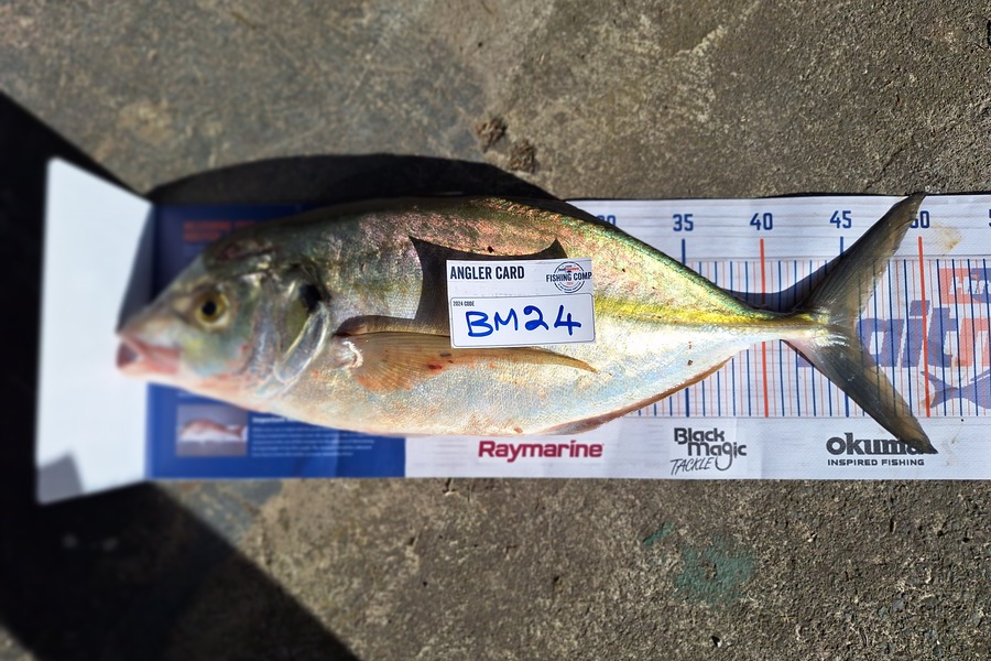 Dan Langdon caught this 45.5cm Trevally at Auckland during The Export NZ Fishing Competition