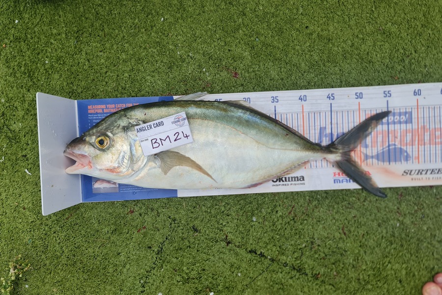 Hendrik Klopper caught this 48.0cm Trevally at Northland during The Export NZ Fishing Competition
