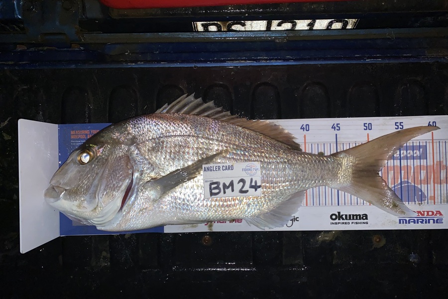Tyra Morphett caught this 51.0cm Snapper at Northland during The Export NZ Fishing Competition