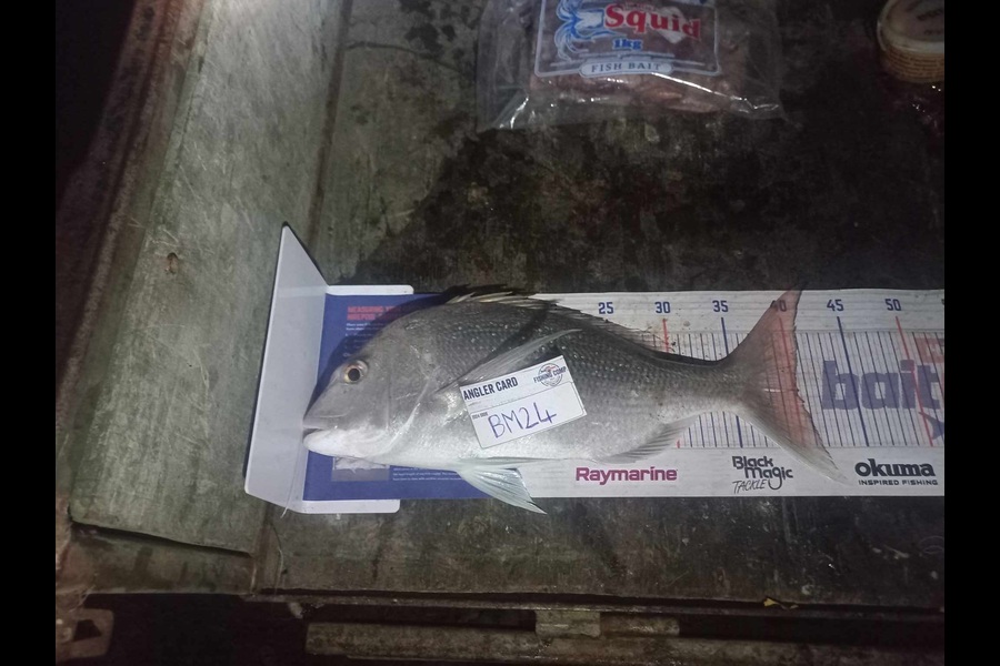 Steven Huata caught this 40.0cm Snapper at Hawkes Bay during The Export NZ Fishing Competition