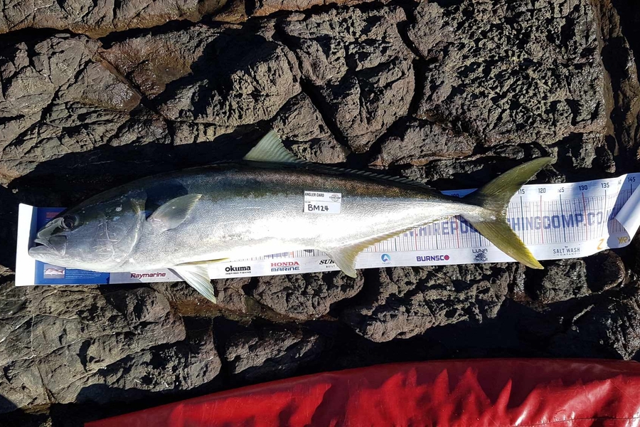 Carlana White caught this 111.0cm Kingfish at East Cape during The Export NZ Fishing Competition