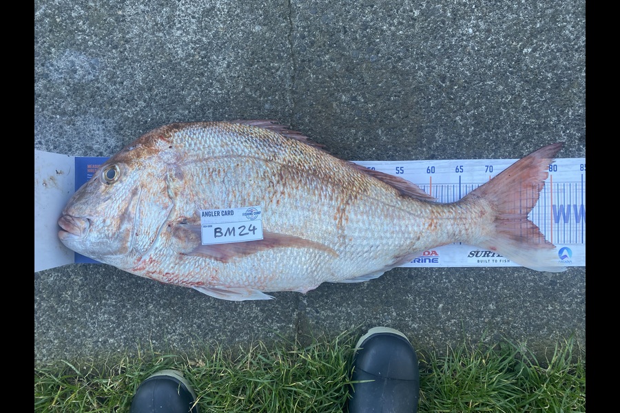Kyle Mottram caught this 76.0cm Snapper at Taranaki during The Export NZ Fishing Competition